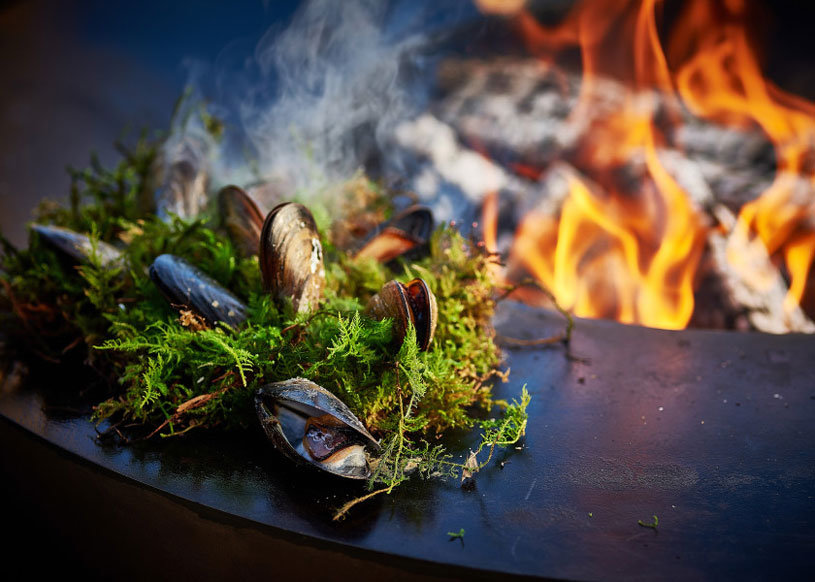 Moules et mousse sur feu ouvert Rezeptbuch Set FEUER & RING