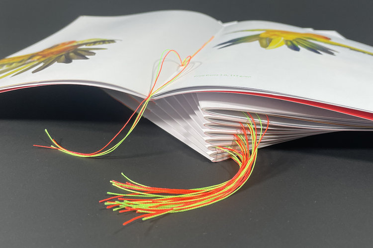 Profi - Fischer Papier