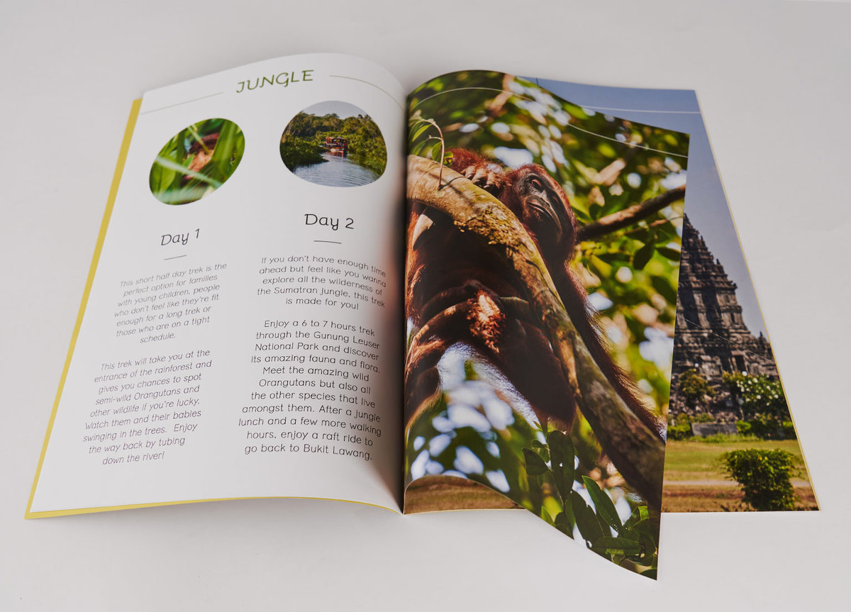 Brochure avec images et texte jungle Brochure ouverte présentant un texte avec deux sections intitulées "Jour 1" et "Jour 2", accompagnées de deux petites images rondes d'animaux, et une grande photo couleur d’un singe dans un arbre sur la page à droite.