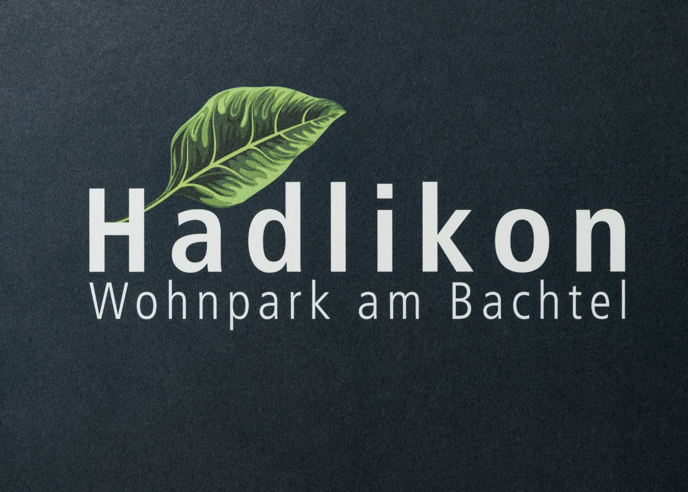 Logo avec feuille verte sur fond noir Hadlikon – Wohnpark am Bachtel