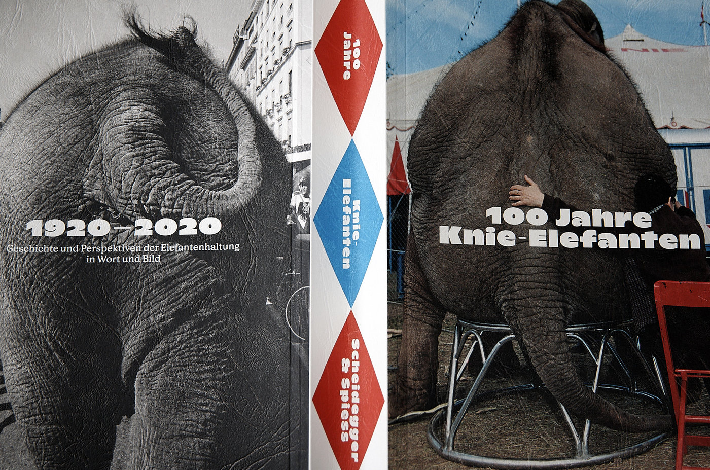 Elephant Poster Exhibition Display 100 Jahre Knie-Elefanten