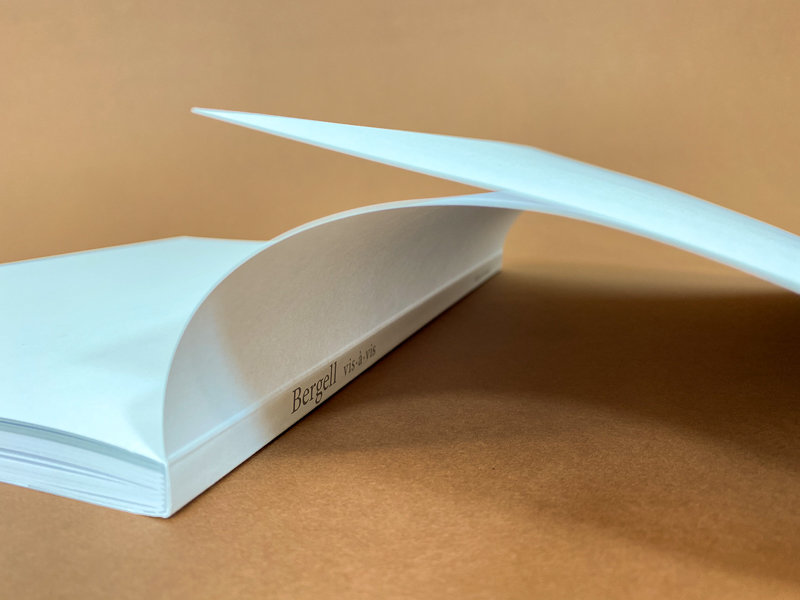 Softcover Buch mit Schutzumschlag Bergell vis-à-vis