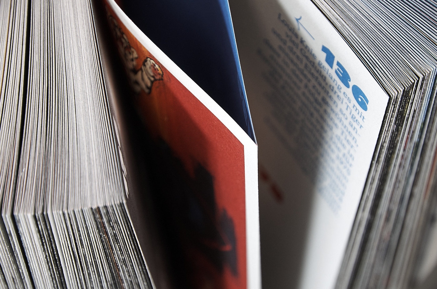Close-up of book pages and inserts 100 Jahre Knie-Elefanten