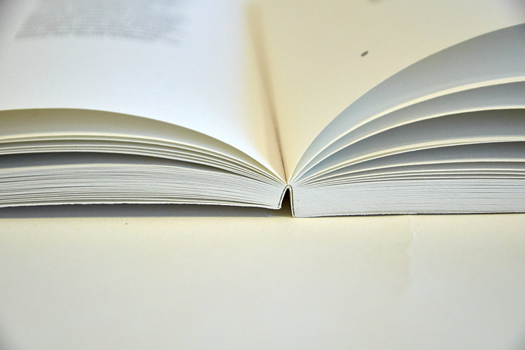 Das Buch der Brüche