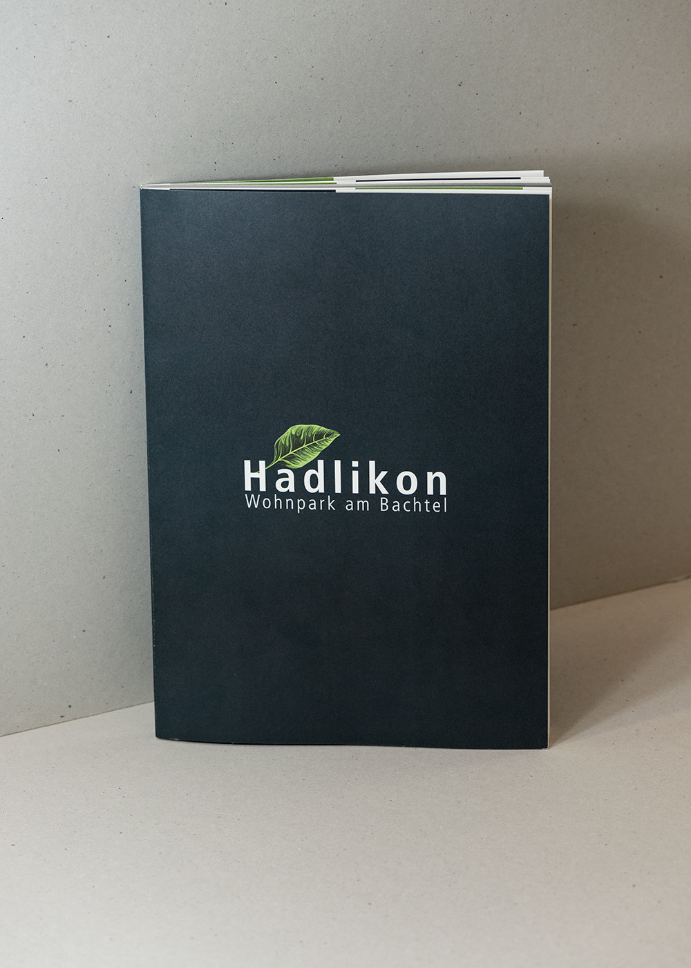 Brochure à couverture rigide noire Hadlikon – Wohnpark am Bachtel