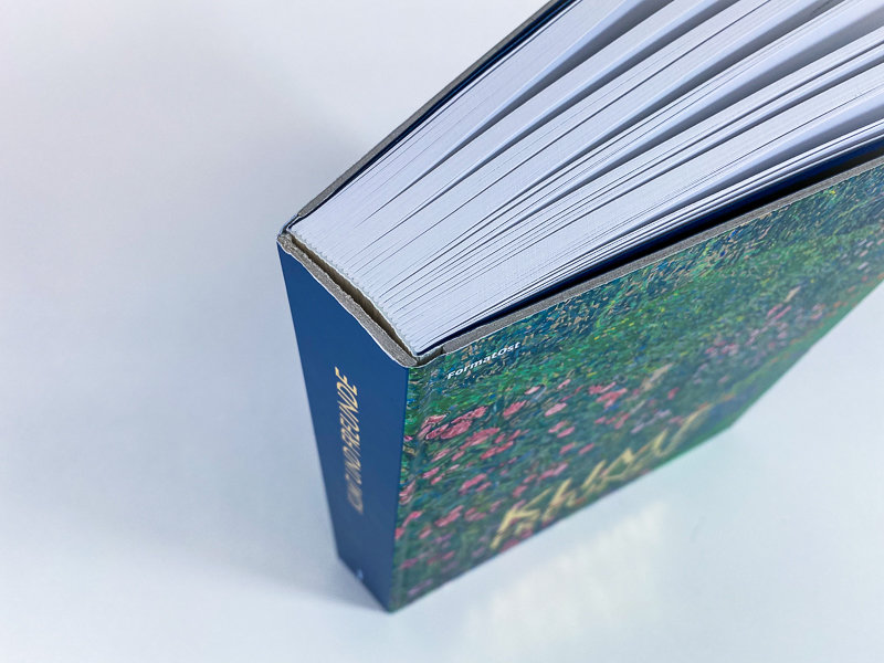 Hardcover book with printed spine and dust jacket Klimt und Freunde
